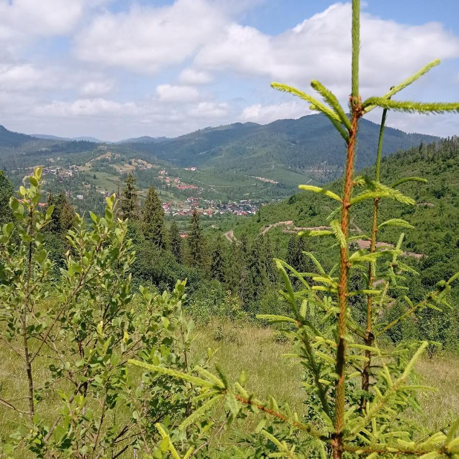 Ecottage Котедж Для Двох У Горах Із Чаном-Джакузі Slavskoje Eksteriør bilde